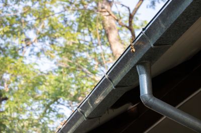 Gutter Cover with Debris Barrier