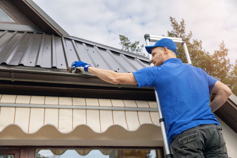 Gutter Screen Repair detail